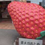 ヒメ日記 2026/02/18 22:53 投稿 みのり 熟女の風俗最終章 宇都宮店