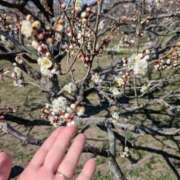 ヒメ日記 2026/02/18 23:31 投稿 みのり 熟女の風俗最終章 宇都宮店