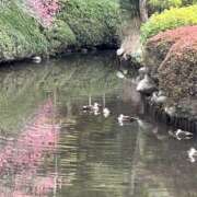 ヒメ日記 2026/02/20 07:21 投稿 みのり 熟女の風俗最終章 宇都宮店