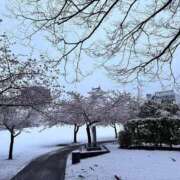 ヒメ日記 2026/03/10 10:22 投稿 みのり 熟女の風俗最終章 宇都宮店