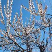 ヒメ日記 2026/03/11 06:31 投稿 みのり 熟女の風俗最終章 宇都宮店