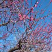 ヒメ日記 2026/03/11 10:14 投稿 みのり 熟女の風俗最終章 宇都宮店