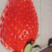 ヒメ日記 2026/03/30 06:01 投稿 みのり 熟女の風俗最終章 宇都宮店