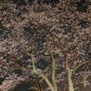 ヒメ日記 2026/03/31 21:21 投稿 みのり 熟女の風俗最終章 宇都宮店