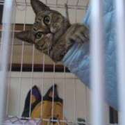 ヒメ日記 2026/04/04 12:45 投稿 みのり 熟女の風俗最終章 宇都宮店