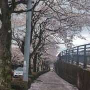 ヒメ日記 2026/04/06 00:31 投稿 みのり 熟女の風俗最終章 宇都宮店