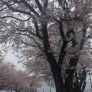 ヒメ日記 2026/04/06 05:51 投稿 みのり 熟女の風俗最終章 宇都宮店