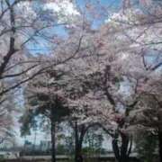 ヒメ日記 2026/04/06 12:11 投稿 みのり 熟女の風俗最終章 宇都宮店