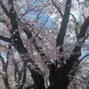 ヒメ日記 2026/04/07 08:04 投稿 みのり 熟女の風俗最終章 宇都宮店