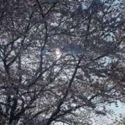 ヒメ日記 2026/04/07 09:11 投稿 みのり 熟女の風俗最終章 宇都宮店