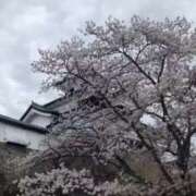 ヒメ日記 2026/04/07 21:44 投稿 みのり 熟女の風俗最終章 宇都宮店