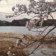 ヒメ日記 2026/04/07 23:31 投稿 みのり 熟女の風俗最終章 宇都宮店