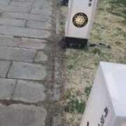 ヒメ日記 2026/04/08 09:51 投稿 みのり 熟女の風俗最終章 宇都宮店