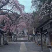 ヒメ日記 2026/04/09 00:41 投稿 みのり 熟女の風俗最終章 宇都宮店