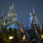 ヒメ日記 2025/04/22 13:24 投稿 おと クラブリリー