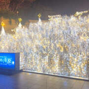 ヒメ日記 2025/11/26 13:18 投稿 おと クラブリリー