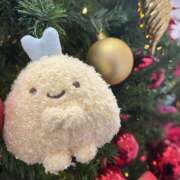 ヒメ日記 2025/12/04 13:14 投稿 おと クラブリリー