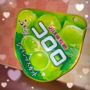 ヒメ日記 2025/02/14 13:32 投稿 えな クラブリリー