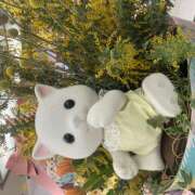 ヒメ日記 2025/08/30 13:10 投稿 えな クラブリリー