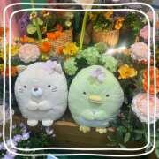 ヒメ日記 2026/03/18 12:56 投稿 えな クラブリリー