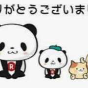 ヒメ日記 2025/08/12 13:40 投稿 あまみ 奥鉄オクテツ兵庫