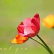 ヒメ日記 2026/03/04 16:49 投稿 あまみ 奥鉄オクテツ兵庫