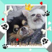 ヒメ日記 2026/03/09 10:26 投稿 あまみ 奥鉄オクテツ兵庫