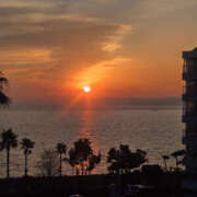 ヒメ日記 2026/03/17 06:23 投稿 あまみ 奥鉄オクテツ兵庫