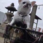 ヒメ日記 2026/04/06 19:29 投稿 あまみ 奥鉄オクテツ兵庫