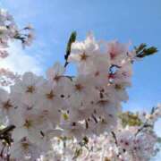 ヒメ日記 2025/04/02 13:55 投稿 ふゆか 快楽夫人