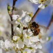 ヒメ日記 2025/04/30 09:30 投稿 ふゆか 快楽夫人