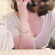 ヒメ日記 2024/12/28 00:00 投稿 みん 京都出張メンズエステChou Chou（シュシュ)