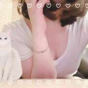 ヒメ日記 2026/02/26 10:20 投稿 みん 京都出張メンズエステChou Chou（シュシュ)