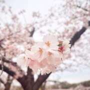 ヒメ日記 2025/04/06 12:07 投稿 みゆう BUNNY（バニー）十三店