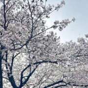 ヒメ日記 2025/04/05 22:32 投稿 さな BUNNY（バニー）十三店