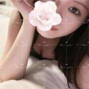 えり こんな夜だから BUNNY（バニー）十三店