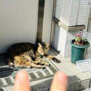 ヒメ日記 2024/12/12 00:16 投稿 ひまわり BUNNY（バニー）十三店