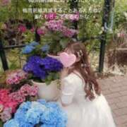 ヒメ日記 2025/06/19 10:57 投稿 めるる ハッピーブリッジ