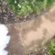 ヒメ日記 2025/06/25 10:47 投稿 めるる ハッピーブリッジ