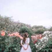 ヒメ日記 2025/07/06 11:00 投稿 めるる ハッピーブリッジ