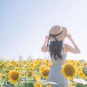 ヒメ日記 2025/07/06 23:17 投稿 めるる ハッピーブリッジ