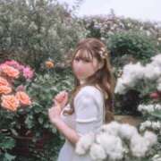 ヒメ日記 2025/08/09 10:57 投稿 めるる ハッピーブリッジ