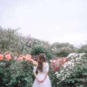 ヒメ日記 2025/08/30 10:52 投稿 めるる ハッピーブリッジ