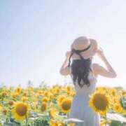 ヒメ日記 2025/09/06 11:17 投稿 めるる ハッピーブリッジ