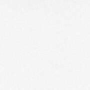 ヒメ日記 2025/10/19 12:47 投稿 めるる ハッピーブリッジ