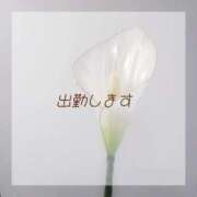 ヒメ日記 2025/11/08 11:22 投稿 めるる ハッピーブリッジ