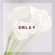 ヒメ日記 2025/11/13 11:27 投稿 めるる ハッピーブリッジ