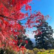 ヒメ日記 2025/11/20 20:57 投稿 めるる ハッピーブリッジ