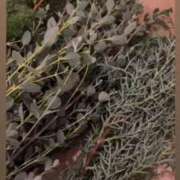 めるる 最近ハマってるコレ ハッピーブリッジ