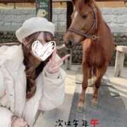 ヒメ日記 2025/12/30 11:31 投稿 めるる ハッピーブリッジ